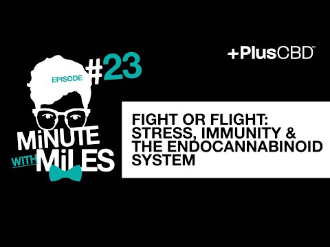 Fight or Flight: Stress, Immunity & the Endocannabinoid System | Minute with Miles