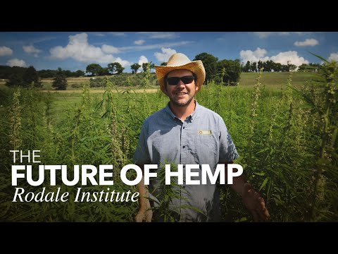 Future of Hemp: Rodale Institute