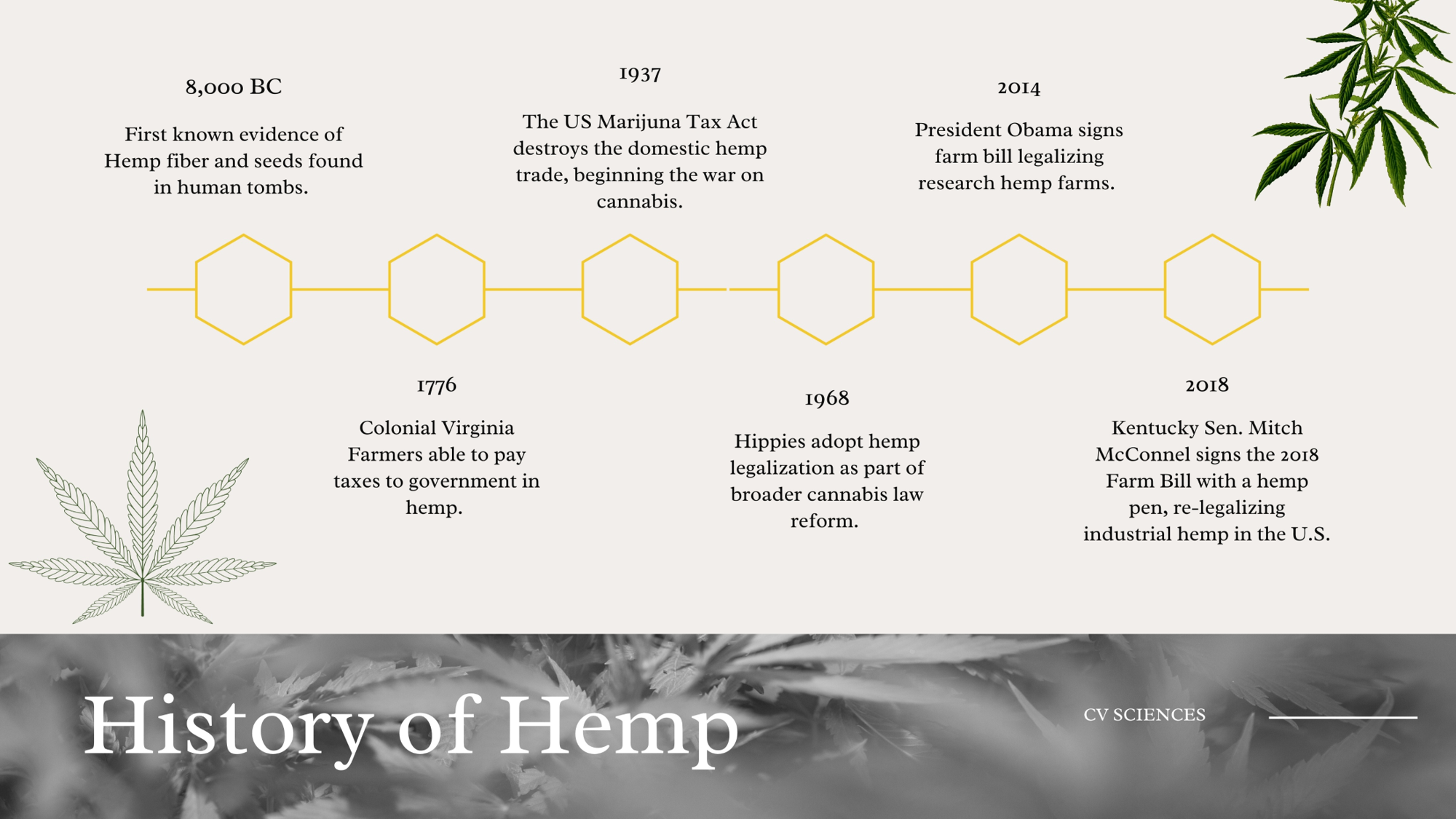 history of hemp timeline