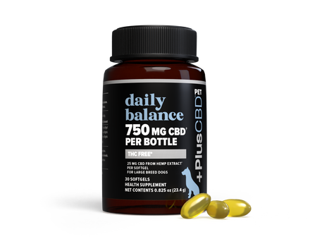 Daily Balance Pet CBD Softgels 25mg 30ct